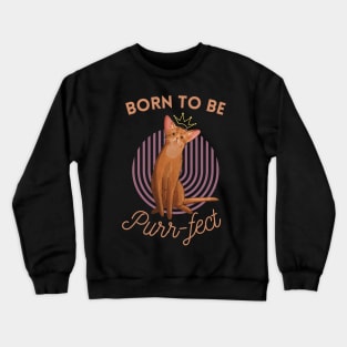 Born to be Purr-fect - Abyssinian Cat Lover Crewneck Sweatshirt